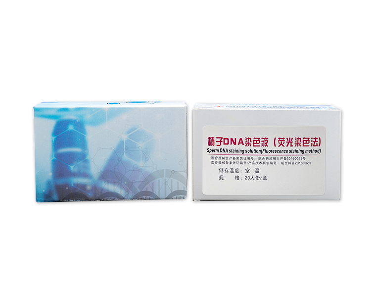 精子DNA染色液 (荧光染色法)
